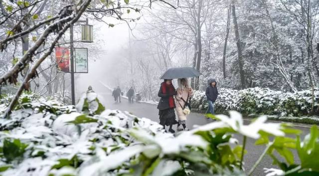 ��������������ѩ�ˣ����ӭ����ѩ����������Ȧ��������Ȫ����