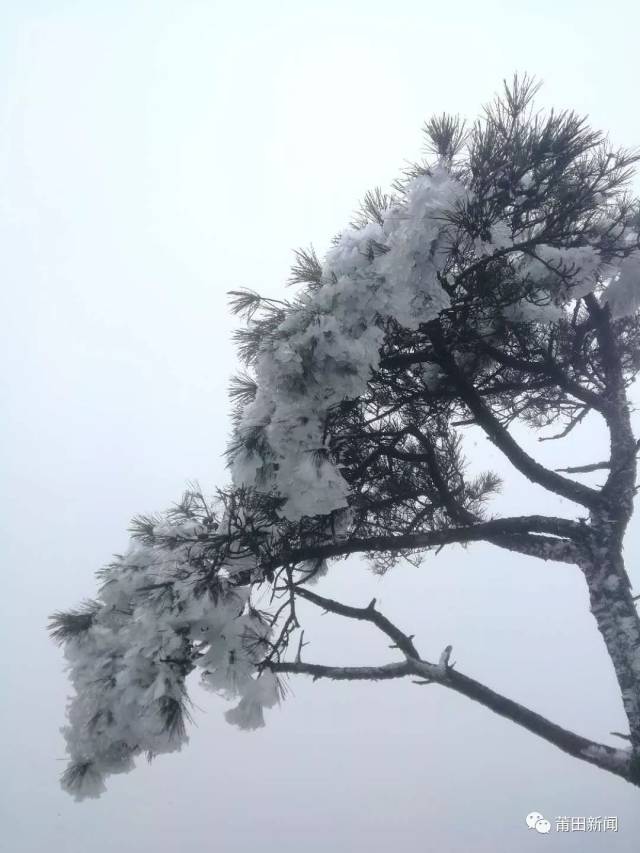 ��������������ѩ�ˣ����ӭ����ѩ����������Ȧ��������Ȫ����