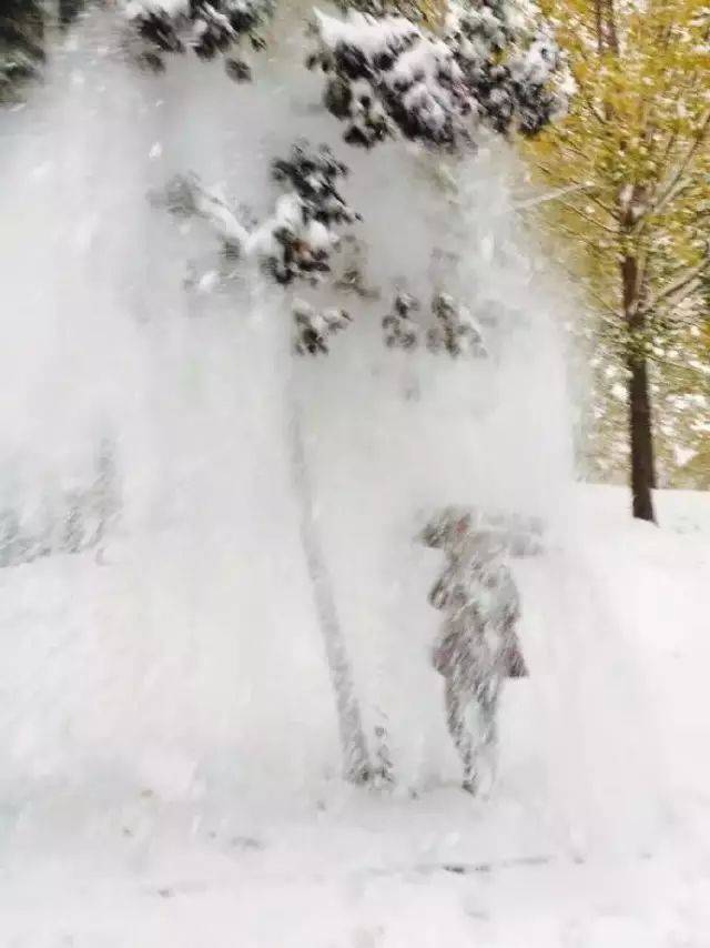 ��������������ѩ�ˣ����ӭ����ѩ����������Ȧ��������Ȫ����