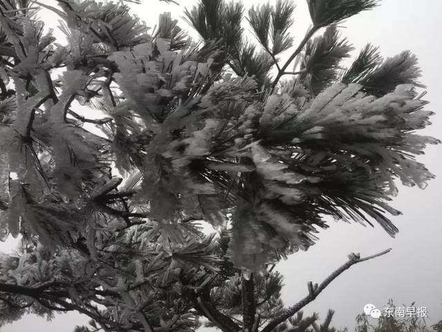 ��������������ѩ�ˣ����ӭ����ѩ����������Ȧ��������Ȫ����