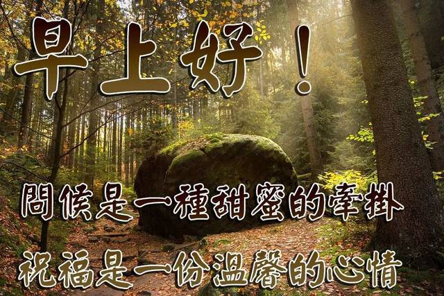早上好问候图片大全 早上好祝福语录2019