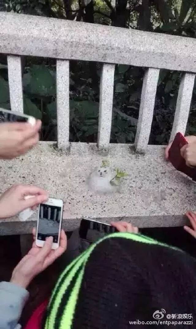 ��������������ѩ�ˣ����ӭ����ѩ����������Ȧ��������Ȫ����