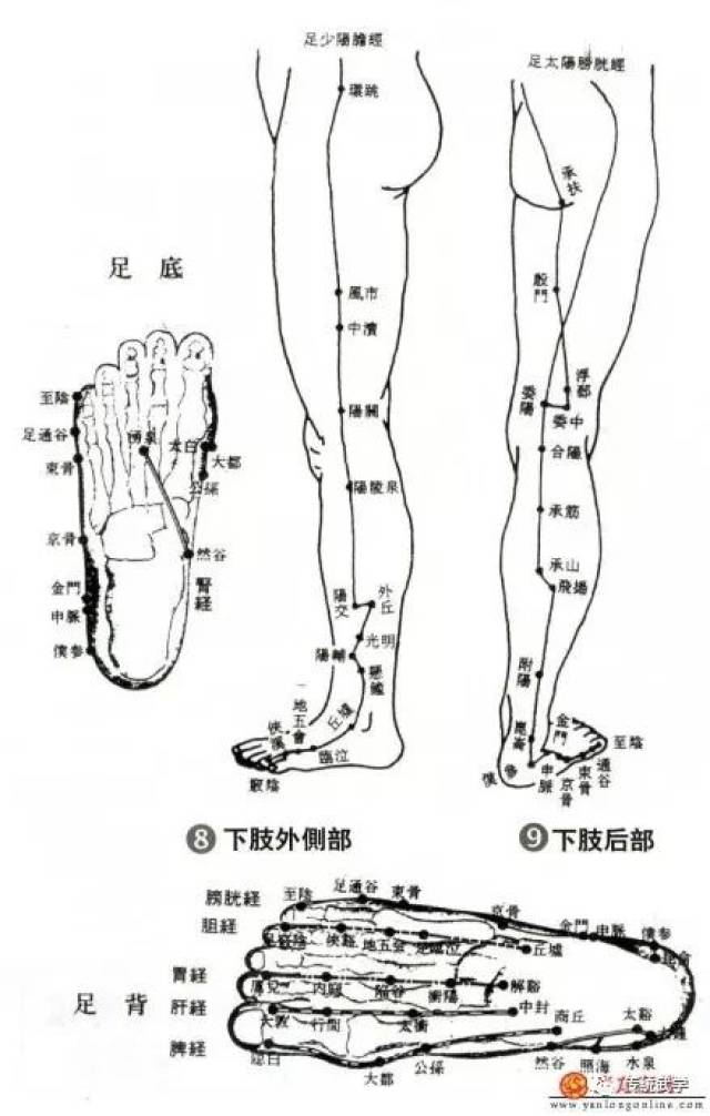 人体穴位图和手,脚的反射区图