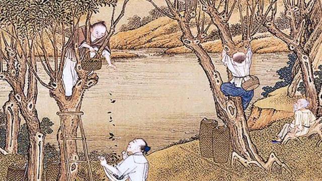 《丝路上的古城》第二集:男耕女织话宝鸡_手机搜狐网