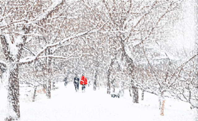 攻略‖雪凇雾凇,滑雪温泉.长春出发1小时,3条线路任您选!