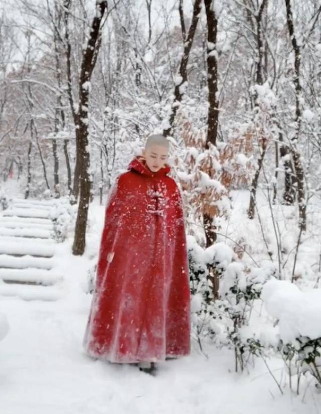 雪景中的尼姑走红网络,身披红斗篷,画面有点仙