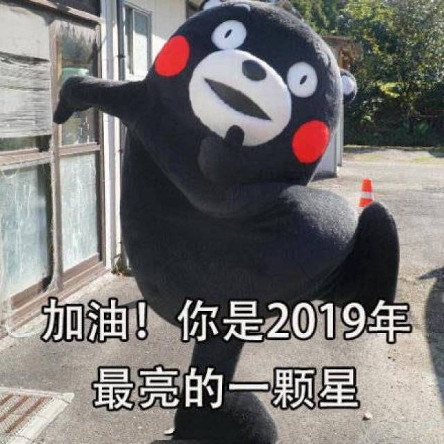 熊本熊表情包:2018年的磨难,成就了2019年的高度