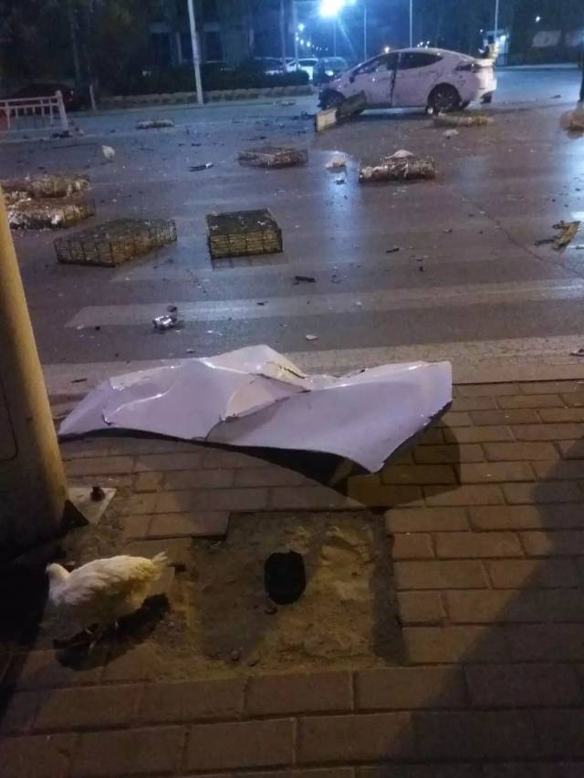 濮阳发生惨烈车祸,车头报废,满地都是活鸡!图片