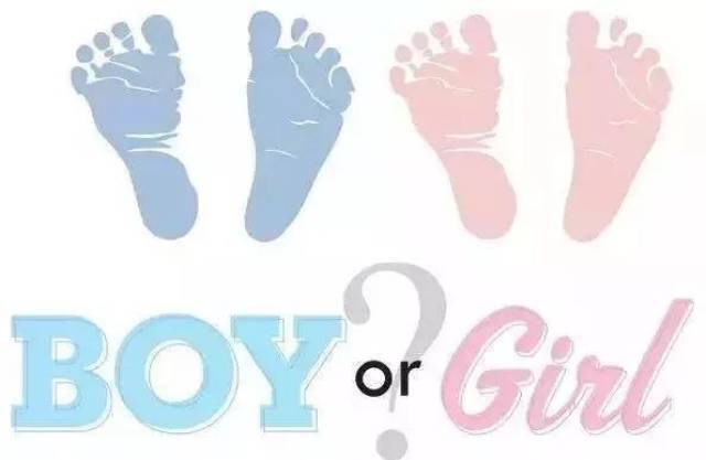 好孕将至,2019生个健康猪宝宝