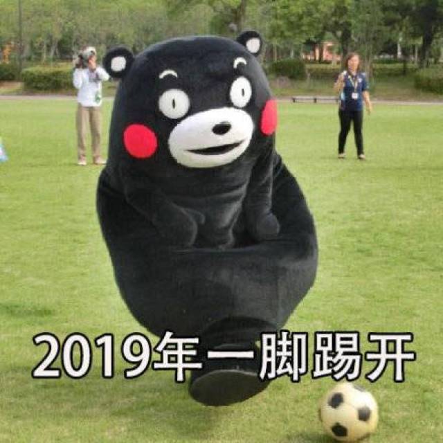 熊本熊表情包:2018年的磨难,成就了2019年的高度_手机