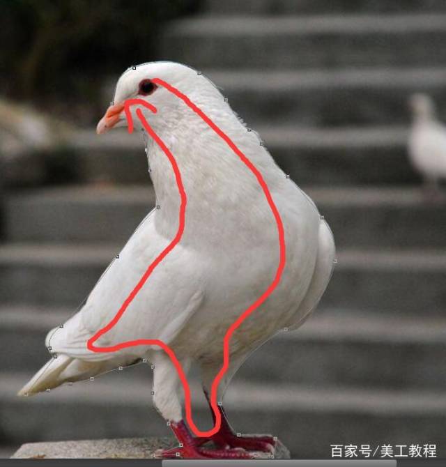 ps钢笔工具抠图讲解,Photoshop钢笔抠图教程