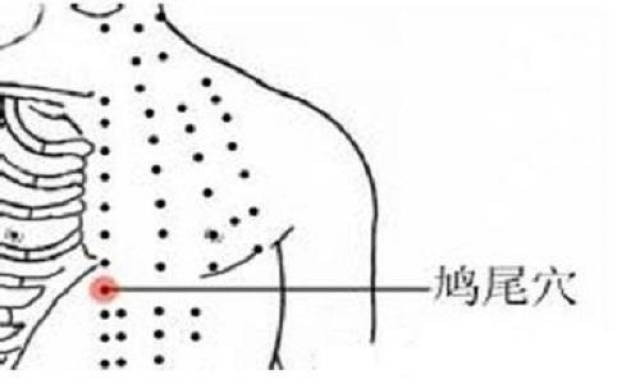 每日一穴鸠尾穴