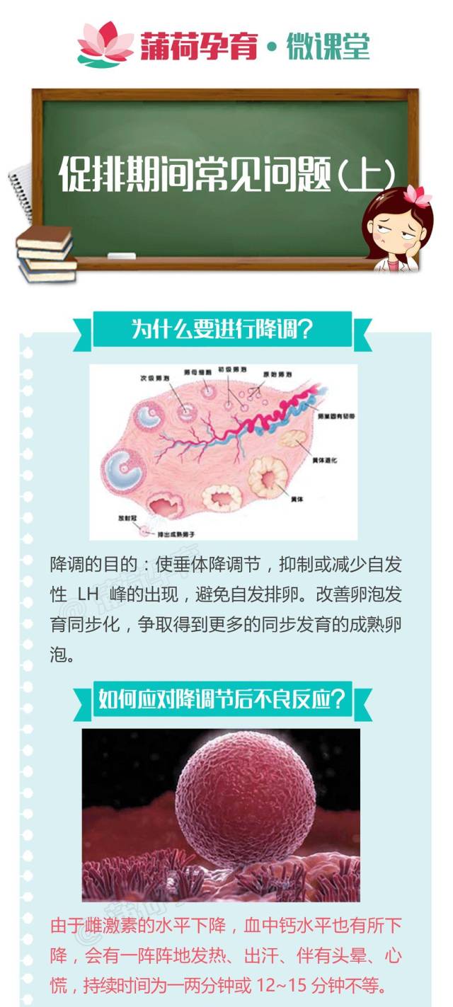 为什么促排卵之前先要打降调针?