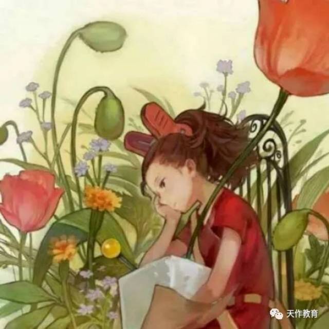 好书推荐丨苏菲的世界