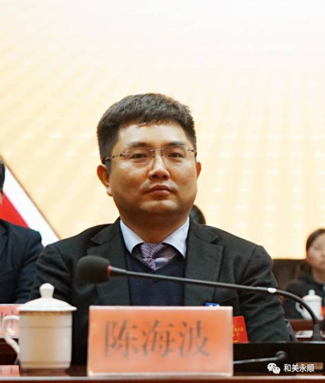 中共永顺县委副书记,县人民政府县长陈海波出席会议.