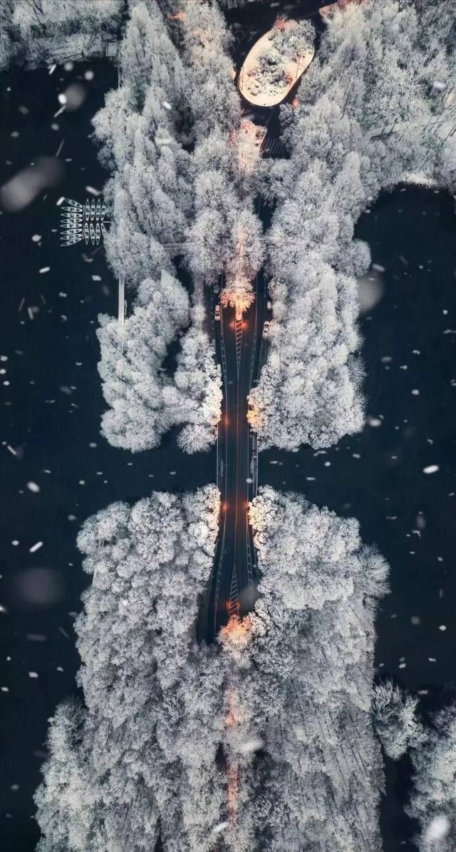 浙江·杭州西湖杨公堤