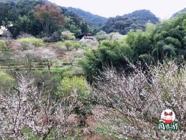 打卡地点:福建省永泰县城峰镇高峰村