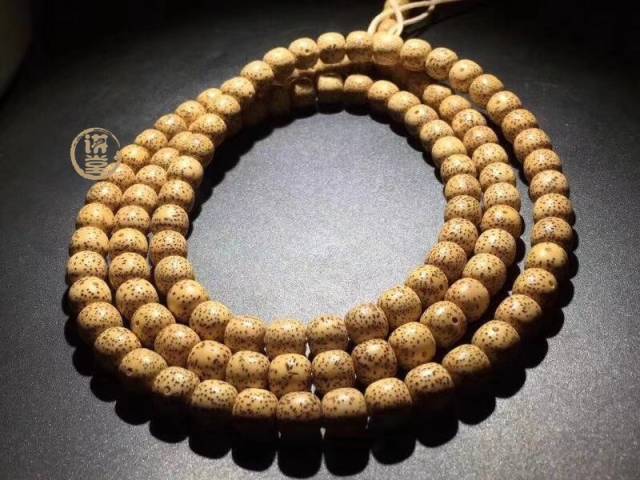 星月菩提产地有哪些?哪里的星月菩提比较好?