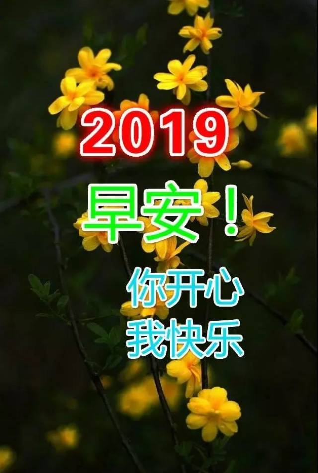 2019早上好图片带字问候 2019最美早晨好问候表情动态