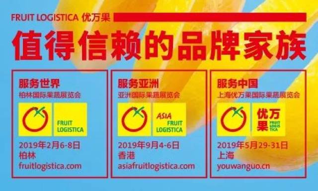 2018保鲜大蒜出口量保持平稳 单价创十年来新低