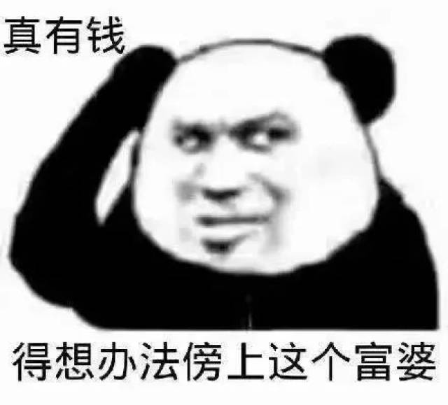 微信搞笑表情包:关关雎鸠,在河之洲,八荒富婆,加我qq