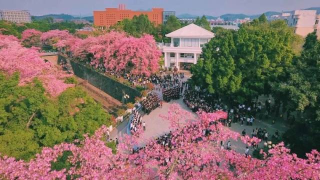 太平站 — 广州大学华软学院