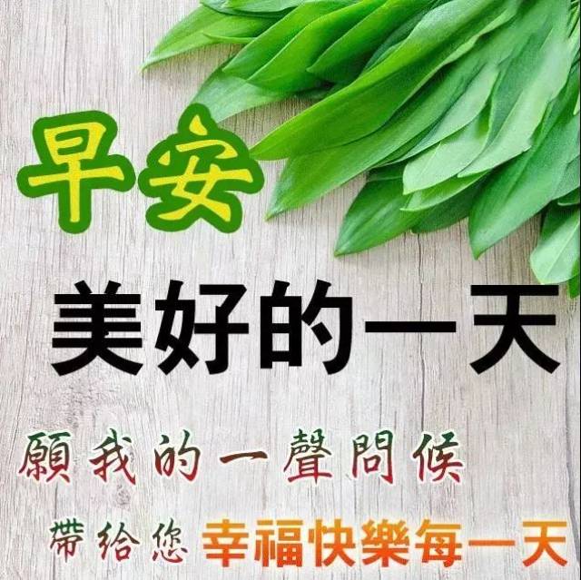 2019最新漂亮群发早上好表情图片 2019最新群发早晨好