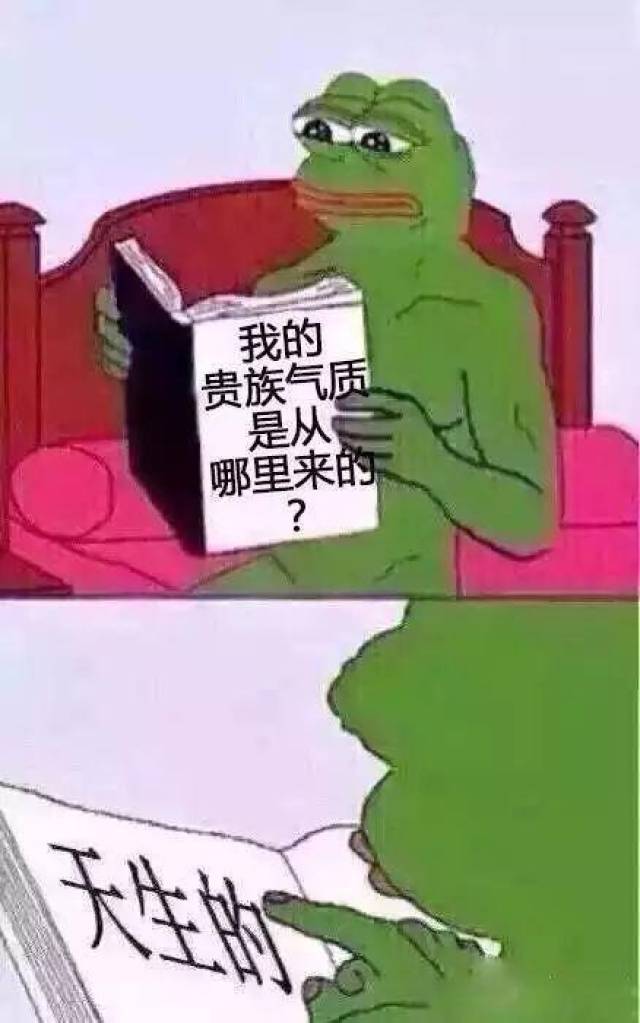 看书表情包:女人在想什么