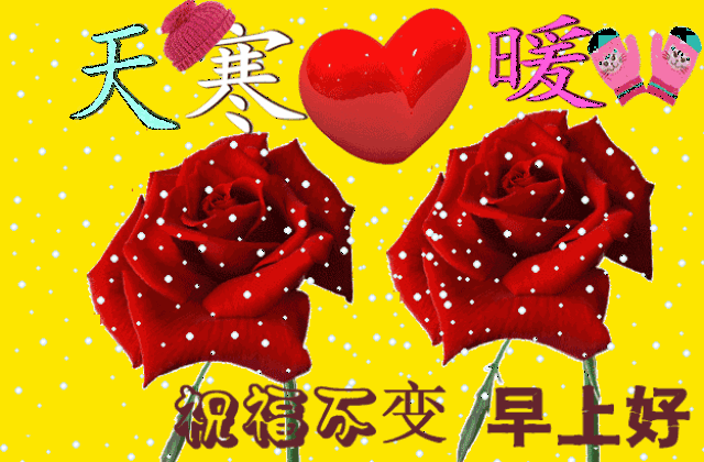 2019ƯȺϺñͼƬ 2019Ⱥ糿ö̬ͼƬ