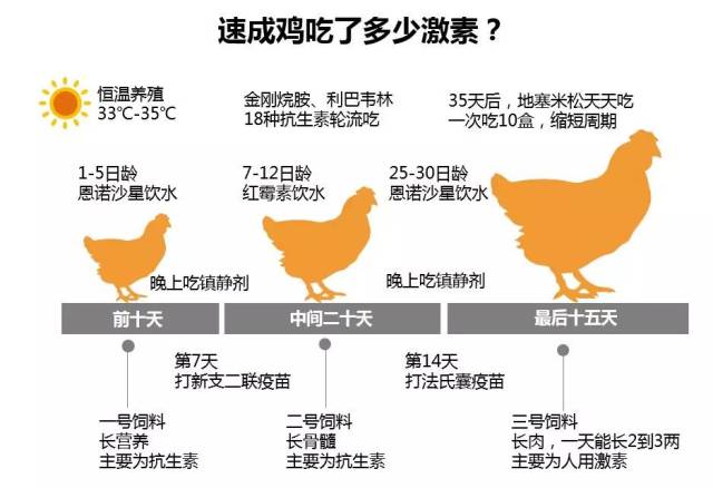 【贡农提醒】央视曝光速成鸡生长过程!这样的鸡你还敢吃吗?