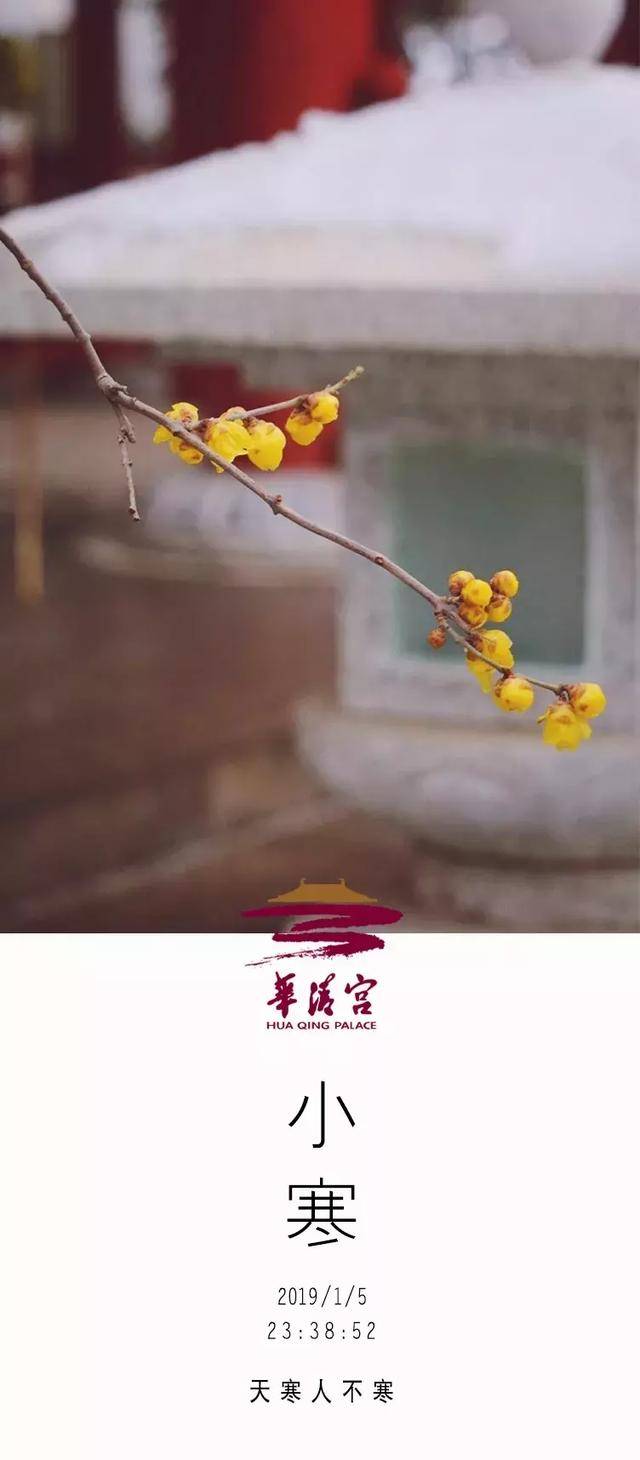 华清节气|小寒惟有梅花饺,未见梢头春一枝