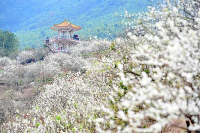 【去哪儿】地铁直达,吃喝玩乐齐全,还能避寒扫货,约吗