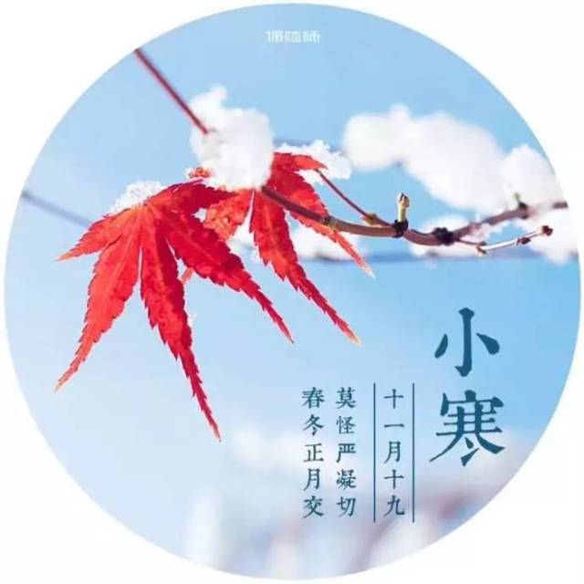 明日小寒!"三九天"最冷的时节开始