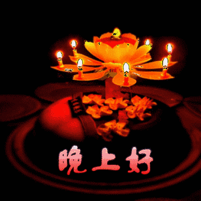 可爱图片萌萌哒女生早晨问候 动态祝福表情2019