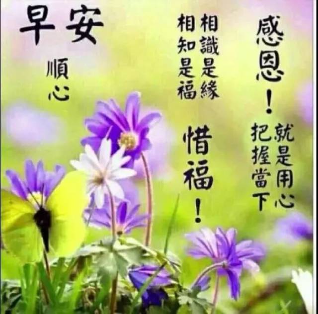 2019最新漂亮群发早上好表情图片 2019最新群发早晨好
