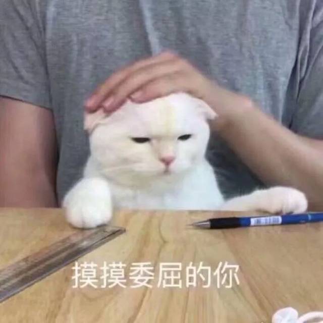 【热门斗图表情包】 大哥,我错了.