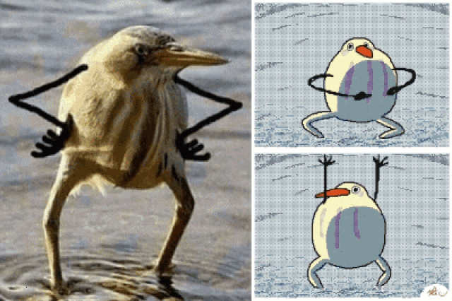 【沙雕图】几个月了,依旧不知道封面是男是女