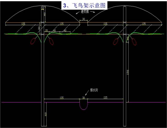 阳光玫瑰栽培模式和常用架型,树形