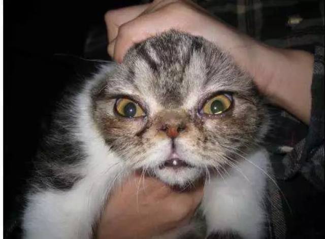 致抬头纹--我最好的敌人和朋友