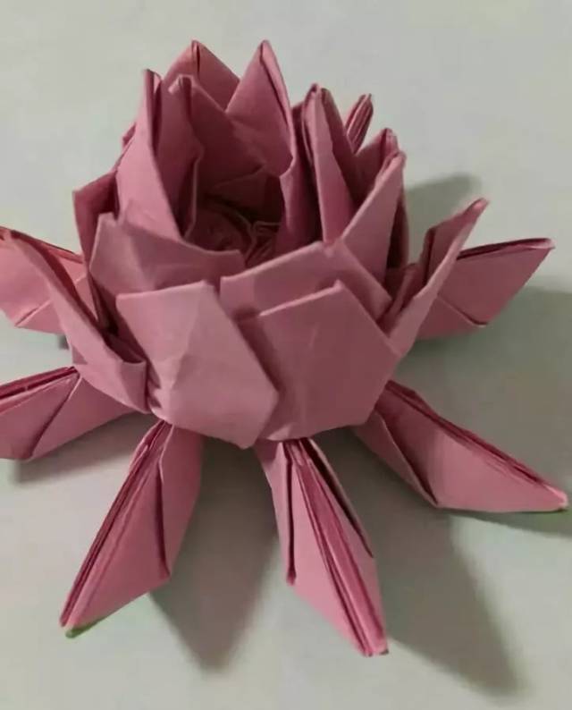 亲子手工(88)立体折纸荷花!