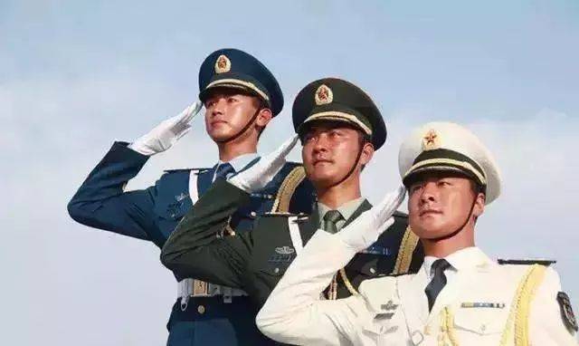大家注意,左上角为网登编号,填写下图"兵役证"时使用. 平台声明