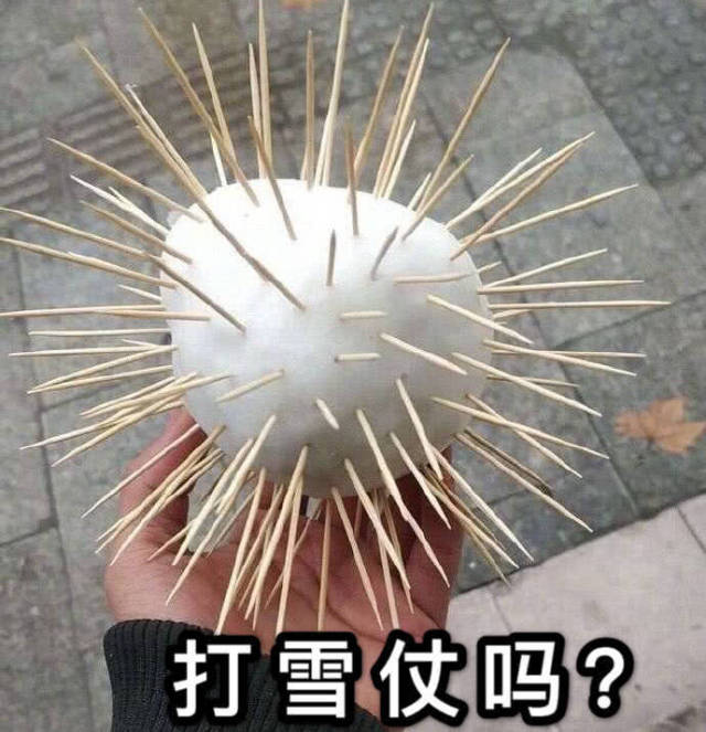 表情包:一起打雪仗吗?