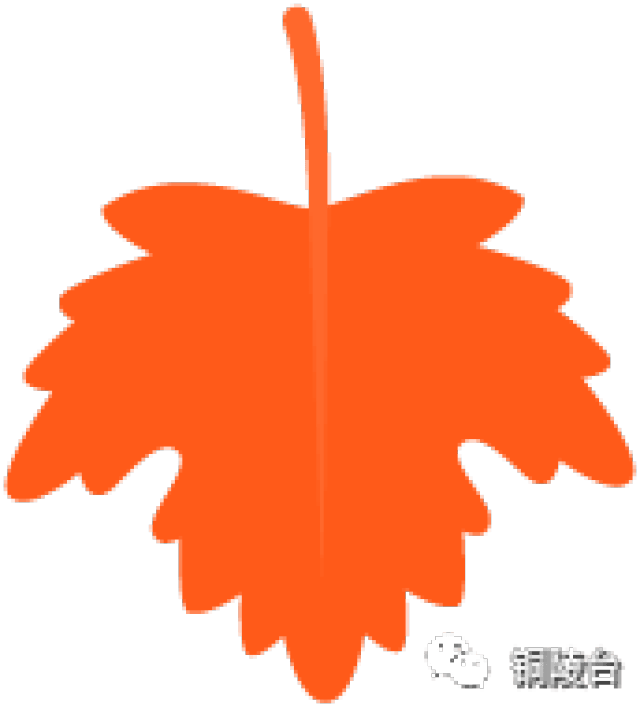 铜陵这些同志被评省特级教师
