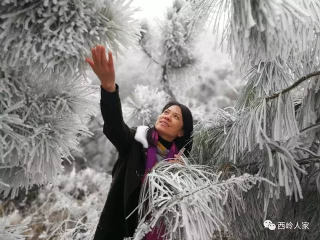 西岭雪景最佳观赏点地址: 阳山县小江镇西岭威灵殿.