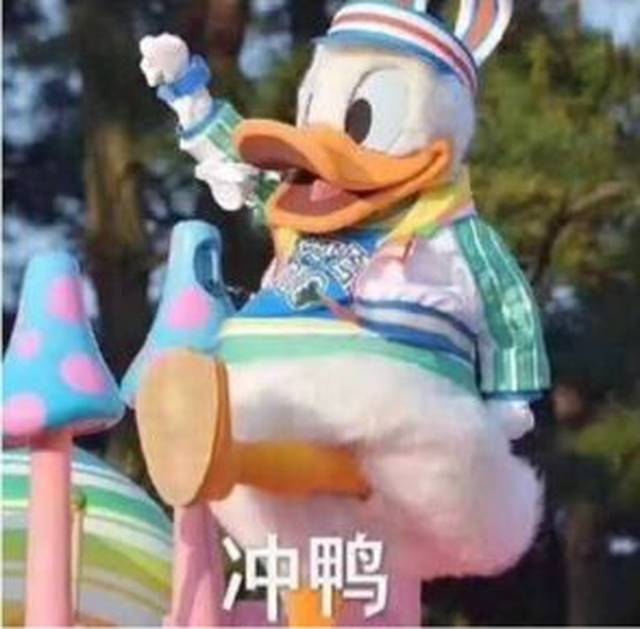 有时候是家养大白鸭 有时候是disney唐老鸭 有时候是今天也要加油鸭