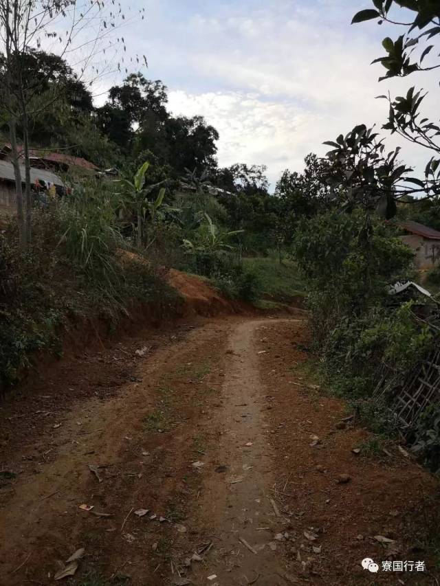 十一公里苗寨也是如此,十字路进村,到村里一律土路.