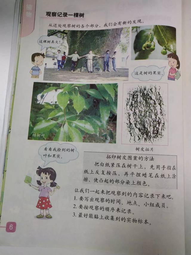 免费领丨小学科学三年级(上)电子教材