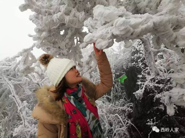 西岭雪景最佳观赏点地址: 阳山县小江镇西岭威灵殿.