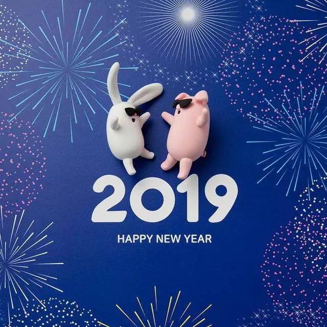 此刻起,别辜负了时光, 别了,2018 你好,2019 努力工作, 认真做