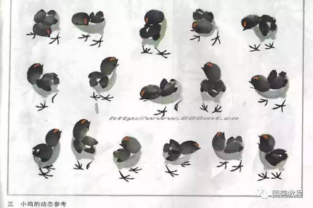 【国画教程】写意小鸡的画法